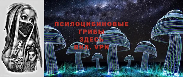 гидра Волоколамск