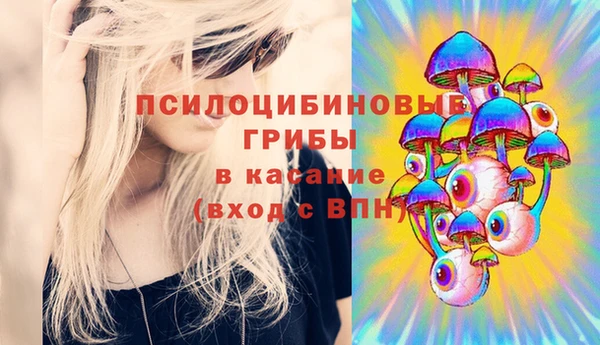 гидра Волоколамск