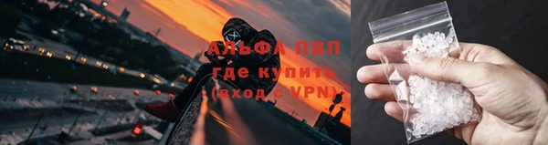 гидра Волоколамск