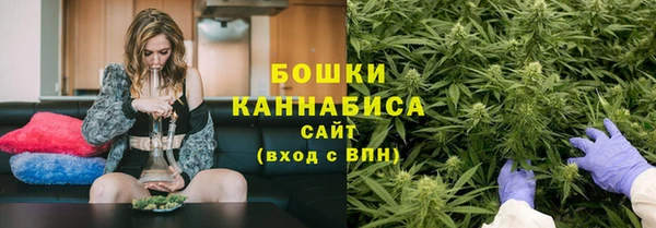 гидра Волоколамск